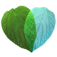 Accounting Heart logo - Similar company to Greenspace Collective