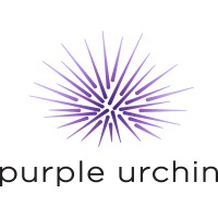 Purple Urchin