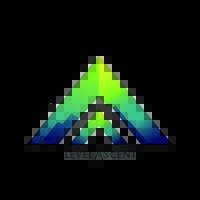 Level Ascent Solutions, LLC. logo - Similar company to American Line Builders (Neca)