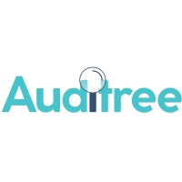 Auditree logo - Similar company to Ekommerce360