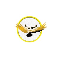 Ecom Hawks logo - Similar company to Ecom Hawks
