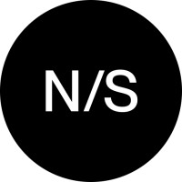 Newsoft logo - Similar company to Anyforsoft