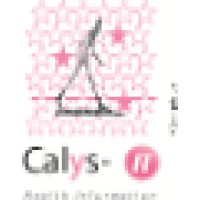Calys-IT logo - Similar company to Dev4Caustaza