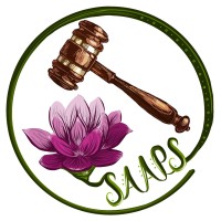 South Asian Americans in Public Service logo - Similar company to Threshold Strategies