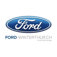 Ford Grüzenfeld Garage AG logo - Similar company to Clyos - Swiss Institute For Character Science