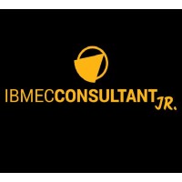 Ibmec Consultant Jr. logo - Similar company to Ibmec Jr Soluções