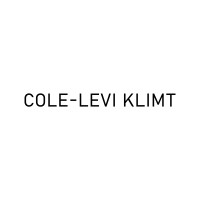 Cole-Levi Klimt logo - Similar company to Berntson Bhattacharjee Gallery