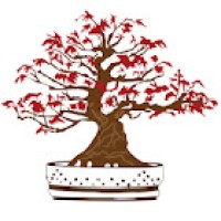 Kifu Bonsai logo - Similar company to Is This A Thing?