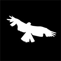 Badfeather Knives logo - Similar company to Klecker Knives