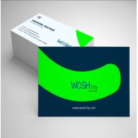 Wash City Laundry and Dry Cleaning Service logo - Similar company to Persil Proclean