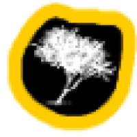 Mpingo Conservation & Development Initiative logo