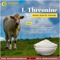 Promois International logo - Similar company to Willard Industries