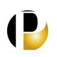 Pawar Capital Investments logo - Similar company to Mindracer Consulting