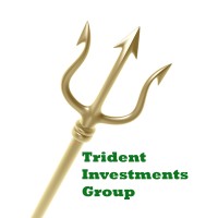 Trident Investments Group logo - Similar company to Trident Holding Group