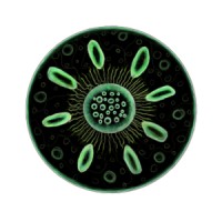 MiBio Consulting Oy logo - Similar company to Hexamer Oy