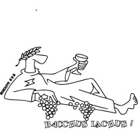 H.G.D. Bacchus logo - Similar company to Rijnraad | Strategie · Financiën · Belastingen