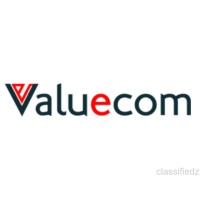 VALUECOM INFOSOLUTIONS PRIVATE LIMITED logo - Similar company to Bluechip Solutions Pplus Pvt Ltd