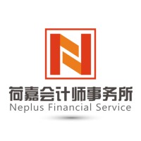 Neplus Financial Service logo - Similar company to Yinner