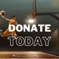 Basketball Museum Of Illinois logo - Similar company to Evolved Experience Solutions, Inc.