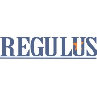 Regulus Investment And Capital Holdings (R.I.C.H)