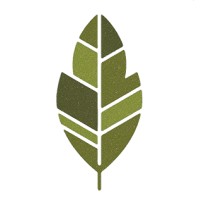 Starlon Naturals logo - Similar company to Blueberry Agro
