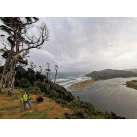 Cowo Puerto Montt