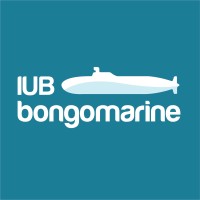 IUB BongoMarine logo - Similar company to Dev.Resolved