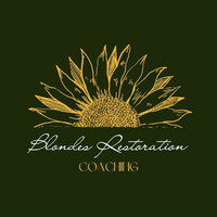 The Blondes Restoration Ltd logo - Similar company to The Wellbeing Directory