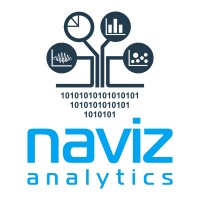 Naviz Analytics Inc. logo - Similar company to Digitalmna