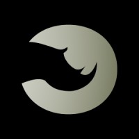 Blue Rhino Marketing logo - Similar company to Brand Elect