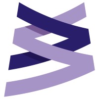 Digital Silk Limited logo - Similar company to Core Effects, Llc