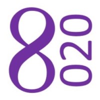 8020 Consultancy & Interim Services logo - Similar company to Vecta Llc