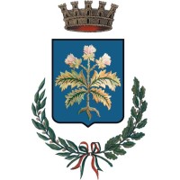 Comune di Modugno logo - Similar company to Edeos