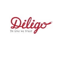 Diligo Viet Nam.JSC logo - Similar company to Diligo