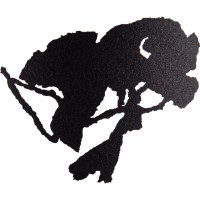 La Font des Ormes logo - Similar company to Dbv Sélection