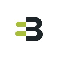 Baseline Group logo - Similar company to Element 17 Ltd