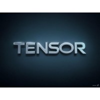 Tensor logo - Similar company to Tensor