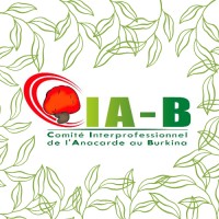 Comité Interprofessionnel de l'Anacarde du Burkina FASO (CIAB) logo - Similar company to International Year Of Basic Sciences For Sustainable Development