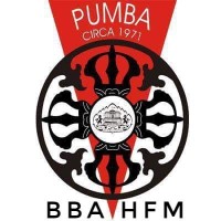 PUMBA BBA HFM logo - Similar company to Pumba Executive Mba