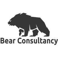 Bear Consultancy logo - Similar company to Dance D-Vision