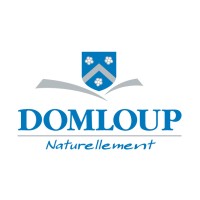 Ville de Domloup logo - Similar company to A.E.T.S.I