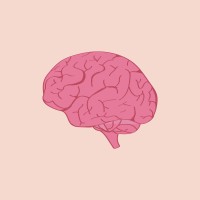 BigBrain Blockchain logo - Similar company to Manzilon