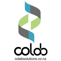 Colab Solutions Ltd NZ logo - Similar company to Clear Mind Algorithmics Inc.