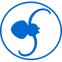 Spider Web Services logo - Similar company to Sygnet Interactive Ltd