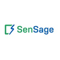 SenSage Financial Services Pvt. Ltd logo - Similar company to Techwhizzer Digital Solutions