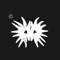 045Records logo - Similar company to Vision Sistemi