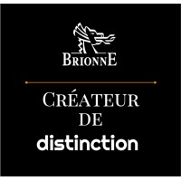 Brionne logo - Similar company to Lokod