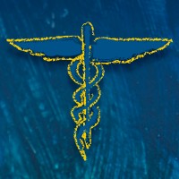 LernerCohen Concierge Healthcare logo - Similar company to Gilded Grace Concierge