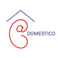 DOMESTICO study logo - Similar company to Mri Centrum