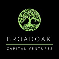 Broadoak Capital Ventures logo - Similar company to Hamilton Finch